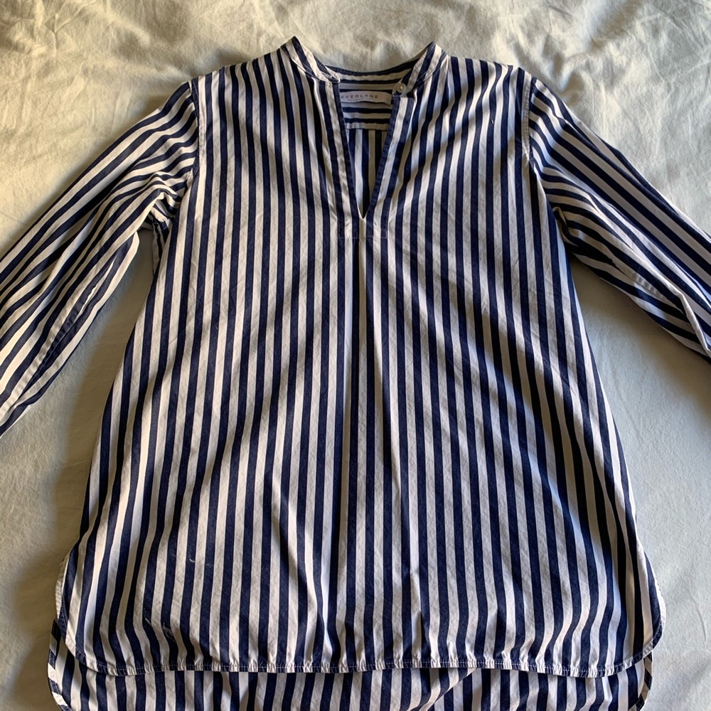 Everlane blue striped shirt